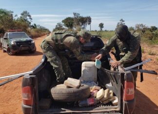 Brasil dobla sus incautaciones de marihuana en plena pandemia
