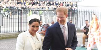 Príncipe Enrique y Meghan demandan a paparazzi por volar drones sobre su casa El principe Enrique y Meghan Markle