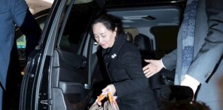Meng Wanzhou acusa a EE.UU. de engañar a Canadá para lograr su extradición Meng Wanzhou