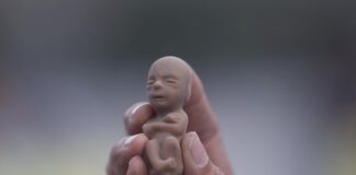 Arizona aprueba una ley que prohíbe el aborto por condiciones genéticas Aborto