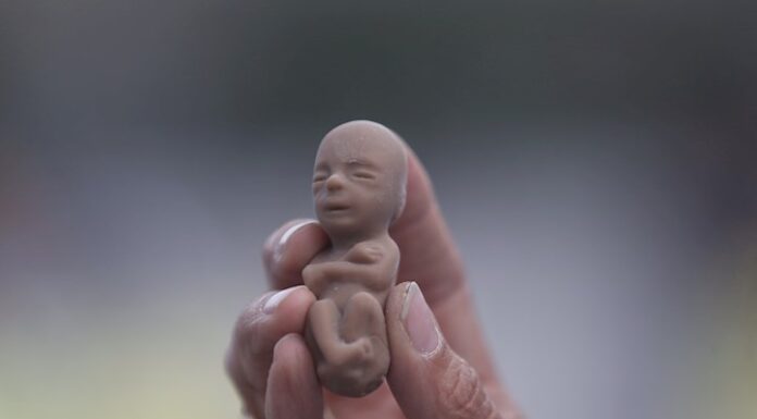 México espera fallo histórico de la Corte que reconoce el derecho al aborto Aborto