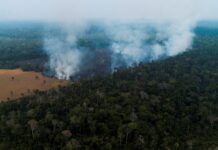 Los incendios vuelven a amenazar la Amazonía brasileña tras disparar en julio amazonas