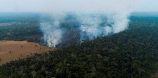 Los incendios vuelven a amenazar la Amazonía brasileña tras disparar en julio amazonas