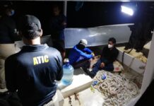 Se han contabilizado 36 fardos de cocaína de embarcación