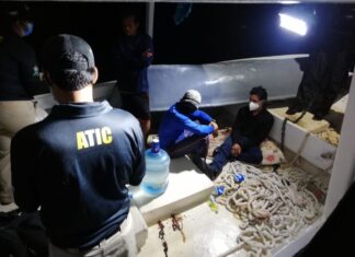 Se han contabilizado 36 fardos de cocaína de embarcación