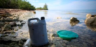 El mundo se ahoga en plásticos: los desechos en mares se triplicarían en 2040