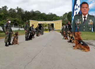 Fallece por sospecha de COVID el comandante del Batallón Canino, coronel Marco Antonio Argueta