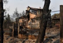 Miles de evacuados por un incendio forestal en el Peloponeso griego