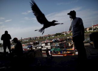 L’Oréal se enfoca en conservar mares y en apoyar a mujeres de Centroamérica