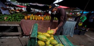 Denuncian ante incremento en el precio de la canasta básica