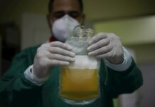 El Salvador apuesta al plasma convaleciente para curar a enfermos de COVID-19