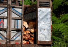 La deforestación se redujo fuertemente en Sudamérica en la última década