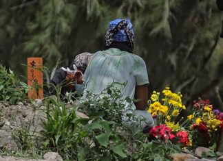 El Parlamento hondureño aprueba un decreto para reducir el gasto público por el COVID-19 muerte