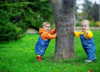 Ámsterdam plantará un árbol por cada bebé nacido en la ciudad