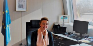 Consejo de Europa: La igualdad de acceso a la sanidad es un derecho humano La secretaria general del Consejo de Europa, Marija Pejcinovic Buric. EFE/Javier Aguilar/Archivo