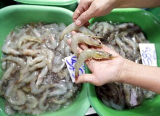 China suspende importación de gambas de Ecuador al detectar virus en paquetes camarones