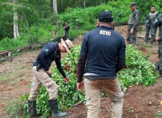 Honduras localiza cultivos de hoja de coca y laboratorio para procesar drogas
