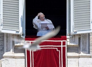 El papa envía a Brasil material médico para luchar contra la Covid-19