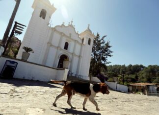 Honduras reabre el turismo en una primera fase tras más de cinco meses de cierre tegucigalpa