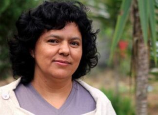 De nuevo defensa plantea apelación y se suspende audiencia de proposición de pruebas contra presidente de DESA Berta Caceres