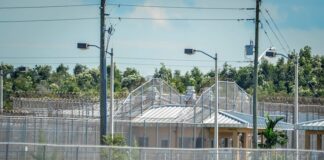 Denuncian muerte por COVID-19 del segundo inmigrante detenido en Florida centro de detención de Krome