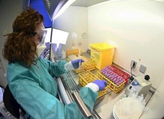 Hallan el orden probable de los síntomas de COVID-19: primero, la fiebre laboratorios