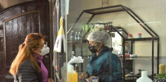 Carne de llama y dióxido de cloro, la receta anti-COVID de gobernador peruano peru