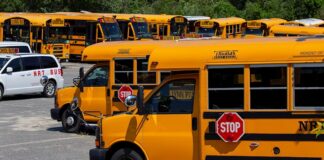 Trump insiste en reabrir las escuelas porque el coronavirus «desaparecerá» Bus