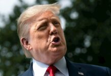 Trump ve posible una vacuna contra el coronavirus para las elecciones en EE.UU. donald trump