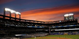 Comisionado asegura que no es momento para suspender la temporada baseball
