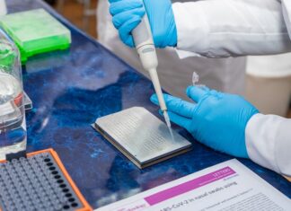 Crean en Chile un test de COVID-19 «low cost» de libre uso para todos los países laboratorios