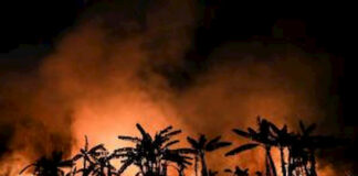 Los incendios amazónicos provocan cientos de hospitalizaciones en Brasil