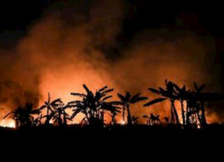 Los incendios amazónicos provocan cientos de hospitalizaciones en Brasil