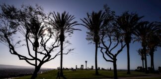 Hombre de 25 años, posible primer caso de reinfección de COVID-19 en EE.UU.