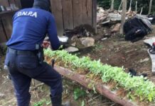 Desmantelan un laboratorio para procesar cocaína en el Caribe de Honduras