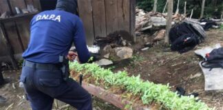 Desmantelan un laboratorio para procesar cocaína en el Caribe de Honduras