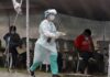 Honduras, 5 meses de COVID-19 entre dolor por muertos y mal manejo de pandemia
