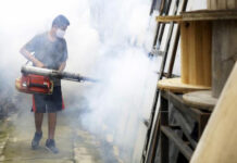 La infección por Zika puede aumentar el riesgo de sufrir un dengue más grave