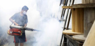 La infección por Zika puede aumentar el riesgo de sufrir un dengue más grave