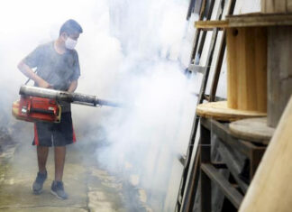La infección por Zika puede aumentar el riesgo de sufrir un dengue más grave