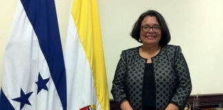 Honduras requiere nuevo modelo de salud, dice exrectora de universidad