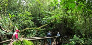 Parque Nacional La Tigra reabre sus puertas a los visitantes