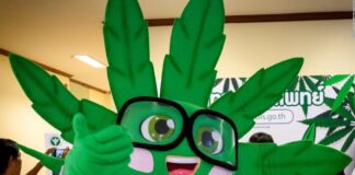 Marihuana puede legalizarse en más estados para reactivar la economía de EE. UU.