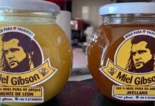 Emprendedora de Miel Gibson tras amenazas legales de abogados del actor: «Me asusté mucho» Miel-Gibson-1