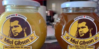 Emprendedora de Miel Gibson tras amenazas legales de abogados del actor: «Me asusté mucho» Miel-Gibson-1
