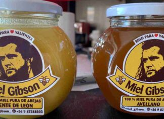 Emprendedora de Miel Gibson tras amenazas legales de abogados del actor: «Me asusté mucho» Miel-Gibson-1