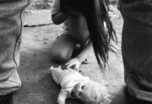 Arrestan a latino en Miami por ofrecer por internet a niña para prostitución