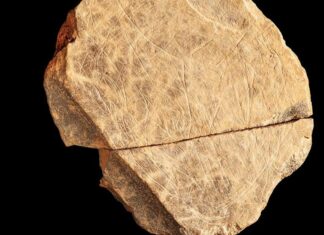 La obra de arte más antigua descubierta en Gran Bretaña