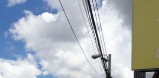 AMDC instala señales de tránsito en la capital