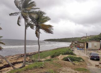 Tormentas Laura y Marco avanzan por el Caribe con un mismo destino: EE.UU